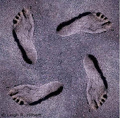 footprints.jpg