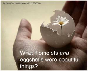 omelets-and-eggs