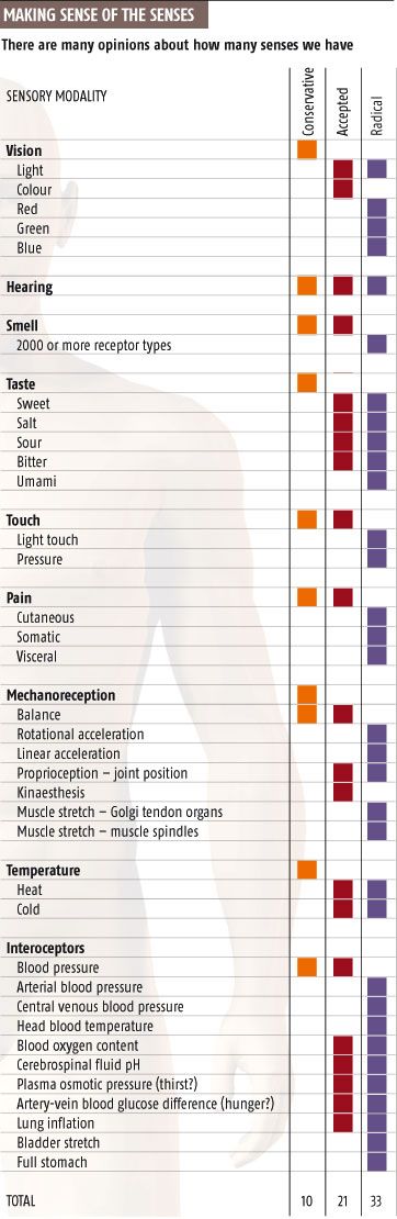senses_chart