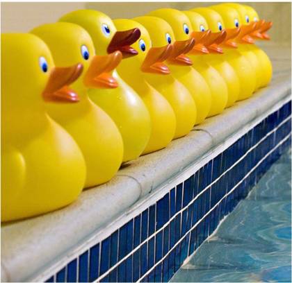 ducks in a row