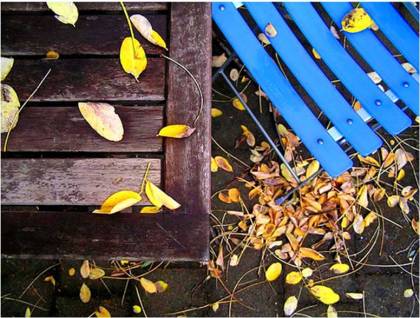 autumn