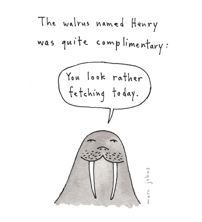 walrus.png